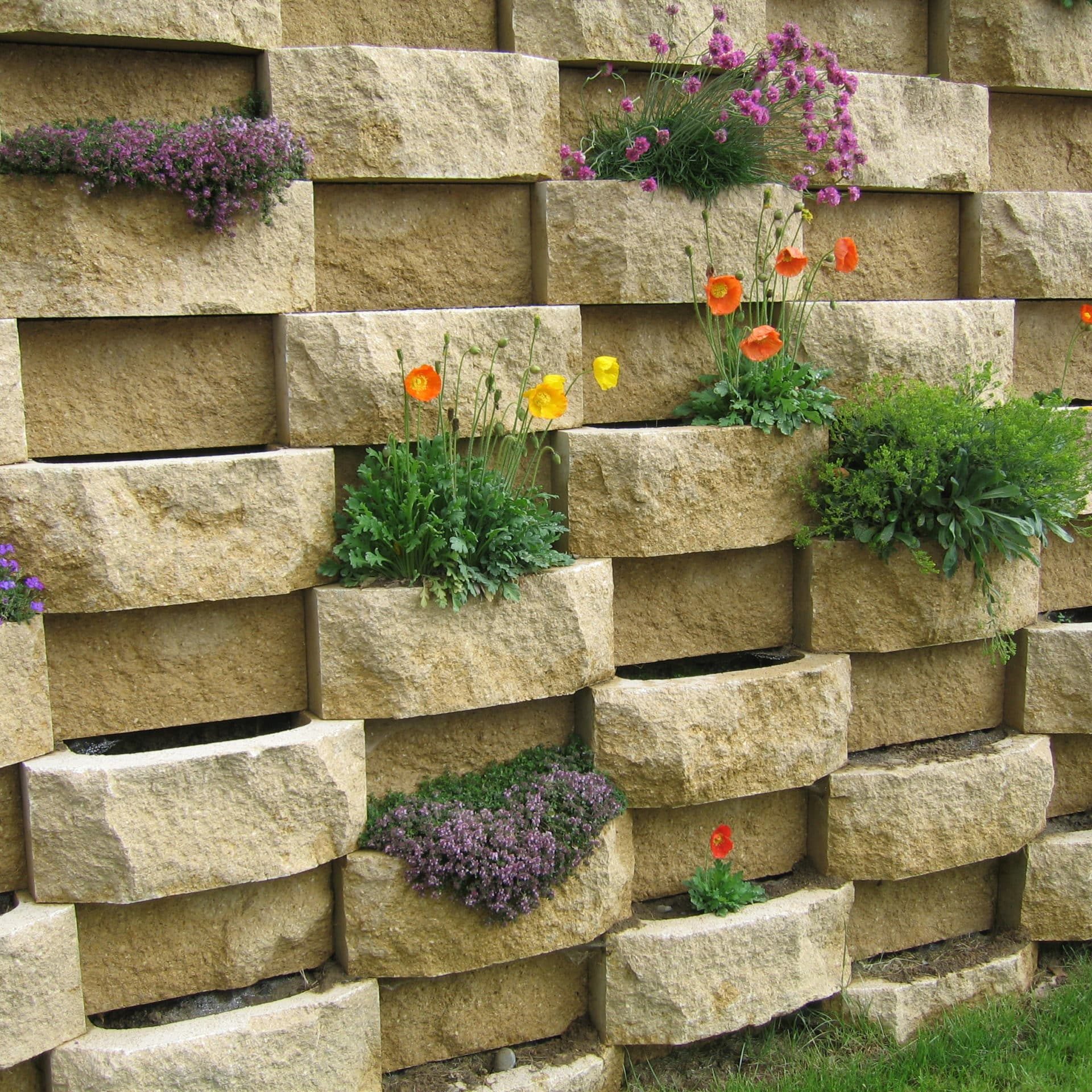 Muraflore clivé - Cornaz SA