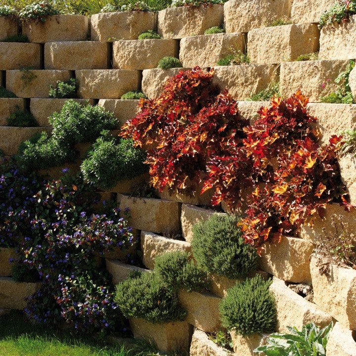 Muraflore clivé - Cornaz SA